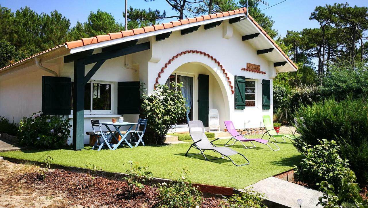 La Canopee ميميزا بلاج المظهر الخارجي الصورة